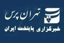 شورایاری‌ها به بسترهای انتخاباتی تبدیل شد، دکتر آقا سید مرتضی در تهران پرس